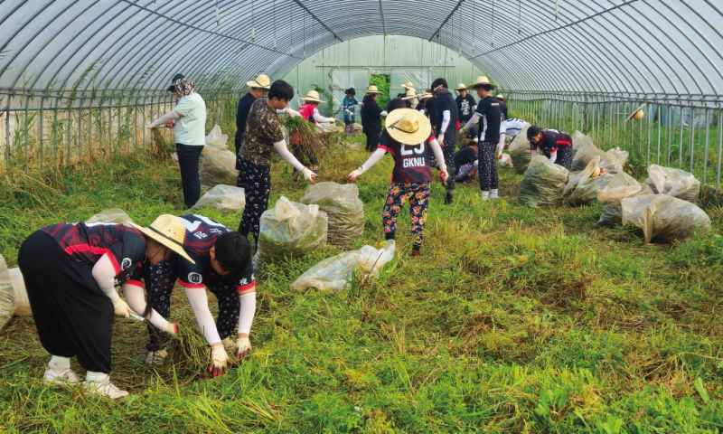 
&nbsp;일시 : 2026년 8월12일(수)~13일(목)&nbsp;장소 : 용궁면 일대&nbsp;참여단체 : 국립경국대학교 총학생회&nbsp;활동내용 : 8월 12일부터 13일까지 국립경국대학교 총학생회 대학생들이 예천군 용궁면을 찾아 지역문화 탐방과 농촌일손돕기 자원봉사활동을 진행했습니다.
이번 활동은 농촌일손돕기와 지역문화 탐방을 연계해, 대학생들이 예천의 지역문화를 경험하고 농촌의 일상을 직접 이해할 수 있도록 마련되었습니다.
먼저 학생들은 강문화전시관을 방문해 예천의 역사와 문화, 자연환경을 알아보는 시간을 가졌으며, 이어 회룡포 장안사와 전망대를 찾아 아름다운 자연경관과 지역의 문화자원을 직접 둘러보았습니다.
지역을 알아가는 시간을 가진 뒤에는 용궁면 소재 미나리 농가를 찾아 본격적인 농촌일손돕기에 나섰습니다. 학생들은 미나리 종구 손질 작업에 참여해 부족한 농촌 일손에 힘을 보태고, 무더운 날씨 속에서 함께 구슬땀을 흘리며 농업 현장의 어려움을 직접 경험했습니다.
이번 활동은 단순히 일손을 돕는 데 그치지 않고, 지역을 둘러보고 이해한 뒤 농촌 현장에서 직접 봉사를 실천하는 ‘볼런투어형 자원봉사활동’으로 진행됐다는 점에서 의미를 더했습니다.
낯선 지역을 찾아 자신의 시간과 노력을 기꺼이 나누어 준 국립경국대학교 총학생회 학생들에게 감사드리며, 이번 만남이 예천과 청년들이 서로를 알아가고 다시 이어지는 소중한 인연이 되길 바랍니다.


&nbsp;